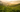 A lush tea garden at golden hour with rolling rows of tea plants and misty mountains in the background