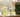 A glass teapot of green tea, a tasting glass of green tea, and a bag of Essentials Bright Green tea on a light wooden countertop in early morning backlit sunlight